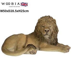 u 郉CI 25cm woobia E[rA 傫 킢  K[f CeA IuWF   v[g k  G  _ ʔ  Mtg O  A