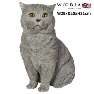 u ueBbV V[gwA[ L lR 31cm woobia E[rA 傫 킢  K[f CeA IuWF   v[g k  G  _ 