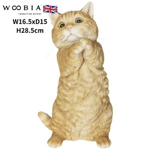 u ˂}`J L lR 28.5cm woobia E[rA 傫 킢  K[f CeA IuWF   v[g k  G  _ ʔ  Mtg 