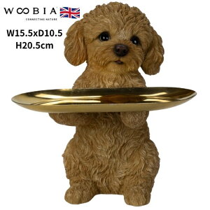 u gCv[h̏u O\ Ck  20.5cm woobia E[rA 傫 킢  K[f CeA IuWF  v[g k  G  _ ʔ 