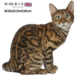 u xKL lR 30cm woobia E[rA 傫 킢  K[f CeA IuWF   v[g k  G  _ ʔ  Mtg O  A 