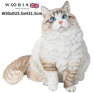 u TCxA lR L 31.5cm woobia E[rA 傫 킢  K[f CeA IuWF   v[g k  G  _ ʔ  Mtg O  
