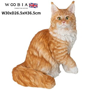 u CN[ lR L 36.5cm woobia E[rA 傫 킢  K[f CeA IuWF   v[g k  G  _ ʔ  Mtg O  