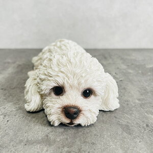 킢  u gCv[h     gC 蕨  CeA K[fI[ig ֐  G v[g Mtg K[fjO