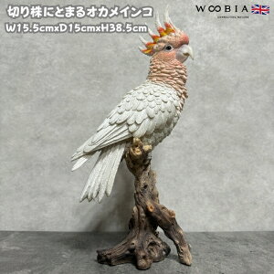 킢  u  ؂芔ɂƂ܂IJCR Ԕ 38.5cm woobia E[rA  K[f CeA gC IuWF  v[g k  G _ ʔ  Mtg