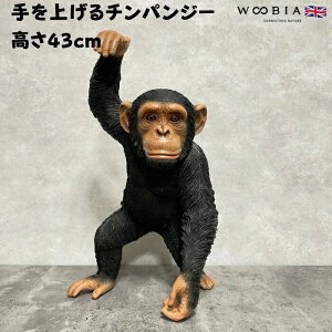 u グ`pW[ 43cm woobia E[rA 傫 킢  K[f CeA IuWF   v[g k  G  _ ʔ  Mtg O  