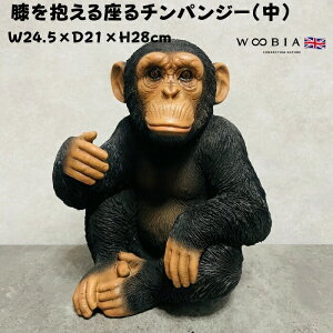 u `pW[ 28cm woobia E[rA 傫 킢  K[f CeA IuWF   v[g k  G  _ ʔ  Mtg O  A 