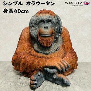 u VvfJIE[^ 40cm 쒷 woobia E[rA 傫 ^ ʔ  K[f CeA gC IuWF  v[g k  G  _  Mtg 