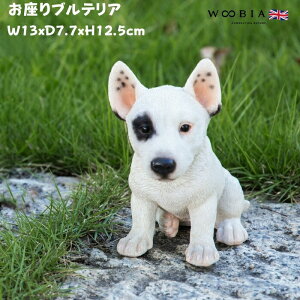 킢̒u ueA woobia E[rA Ck  K[f CeA gC IuWF  v[g k  G  _ ʔ  Mtg O  A 