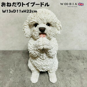 킢  u ˂v[h woobia E[rA Ck  K[f CeA gC IuWF  v[g k  G  _ ʔ  Mtg O  A 