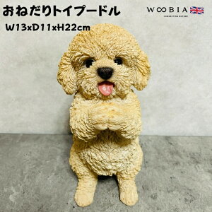 킢  u ˂v[h woobia E[rA Ck  K[f CeA gC IuWF  v[g k  G  _ ʔ  Mtg O  A 