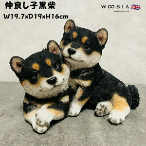 킢̒u ǂqČ ObY woobia E[rA Ck  K[f CeA gC IuWF  v[g k  G  _ ʔ  Mtg O  A