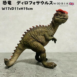 u  fBtHTEX woobia E[rA 傫 킢  K[f CeA IuWF   v[g k  G  _ ʔ  Mtg O  A 
