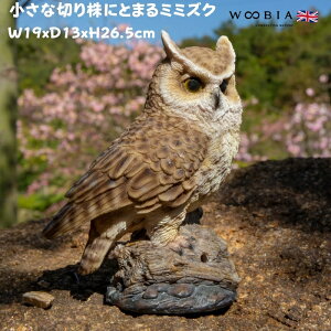 u  Ȑ؂芔ɂƂ܂~~YN 26.5cm woobia E[rA 傫 킢  K[f CeA IuWF   v[g k  G  _ ʔ  Mt