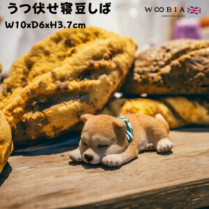 킢̒u Q ObY woobia E[rA Ck  K[f CeA gC IuWF  v[g k  G  _ ʔ  Mtg O  