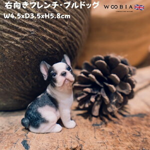 킢̒u Et`EuhbO woobia E[rA Ck  K[f CeA gC IuWF  v[g k  G  _ ʔ  Mtg O  