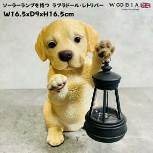 킢  u \[[vŎグ郉uh[Ego[ woobia E[rA Ck  K[f CeA IuWF  v[g k  G  _ 