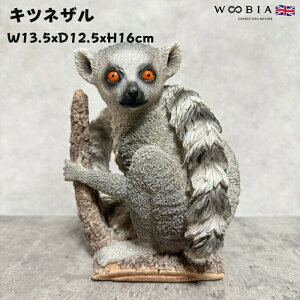 u  LclU 16cm woobia E[rA 傫 킢  K[f CeA IuWF  v[g k  G _ ʔ  Mtg O  A ֐ K