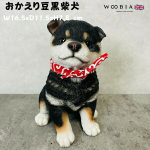 킢̒u 蓤Č  ObY woobia E[rA Ck  K[f CeA gC IuWF  v[g k  G  _ ʔ  Mtg O  