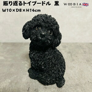 킢  u UԂgCv[h ubN  woobia E[rA Ck  K[f CeA gC IuWF  v[g k  G  _ ʔ  Mtg 