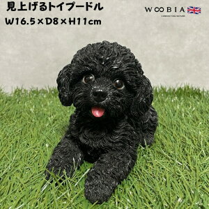 킢  u グgCv[h ubN  woobia E[rA Ck  K[f CeA gC IuWF  v[g k  G  _ ʔ  Mtg 