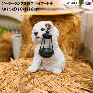 킢  u \[[vŎグgCv[h zCg  woobia E[rA Ck  K[f CeA IuWF  v[g k  G  _ 