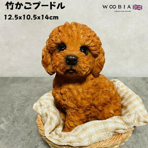 킢  u |v[h woobia E[rA Ck  K[f CeA gC IuWF  v[g k  G  _ ʔ  Mtg O  A ֐