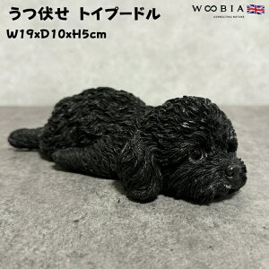 킢  u gCv[h ubN woobia E[rA Ck  K[f CeA gC IuWF  v[g k  G  _ ʔ  Mtg O 