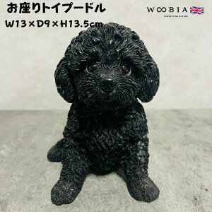 ���킢�� �� �u�� ������g�C�v�[�h�� woobia �E�[�r�A �C�k ������� �K�[�f�� �C���e���A �g�C�� �I�u�W�F ���� �v���[���g �k�� ���� �G�� ���� ���_�� �ʔ��� �� �M�t�g ���O �� ���A�� ��