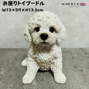 킢  u gCv[h woobia E[rA Ck  K[f CeA gC IuWF  v[g k  G  _ ʔ  Mtg O  A 