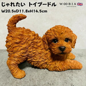 かわいい 犬 置物 じゃれたい トイプードル ブラウン woobia ウービア イヌ おしゃれ ガーデン インテリア トイレ オブジェ 可愛い プレゼント 北欧 玄関 雑貨 動物 モダン 面白い 庭 ギフト 屋