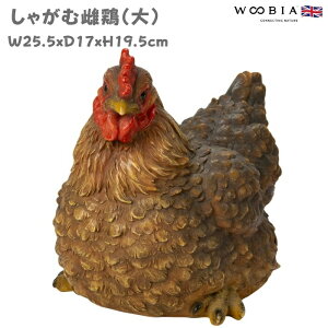 u  킢 IuWF k  Ⴊގ{  jg 19.5cm woobia E[rA 傫  K[f CeA ^  v[g  G _ ʔ  Mtg O
