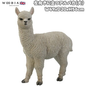u EɗApJ  56cm woobia E[rA 傫 킢  K[f CeA IuWF   v[g k  G  _ ʔ  Mtg O 
