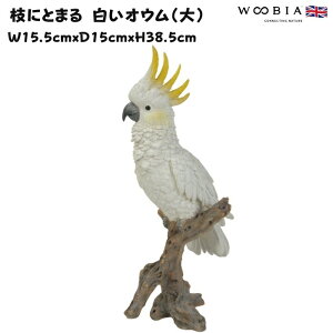 u  킢 IuWF k  }ɂƂ܂ IE  38.5cm ^ woobia E[rA 傫  K[f CeA   v[g  G _ ʔ  Mt