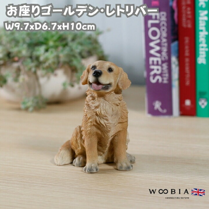 楽天市場】犬 置物 おしゃれ お座りゴールデン・レトリバー 小 