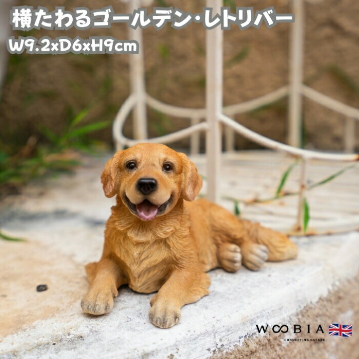 楽天市場】犬 置物 おしゃれ 横たわるゴールデン・レトリバー かわいい 