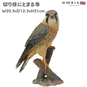 置物 鳥 かわいい オブジェ 北欧 動物 切り株にとまる隼 高さ31cm 大型 woobia ウービア 大きい おしゃれ ガーデン インテリア 巨大 可愛い プレゼント 玄関 雑貨 モダン 面白い 庭 ギフト 屋外