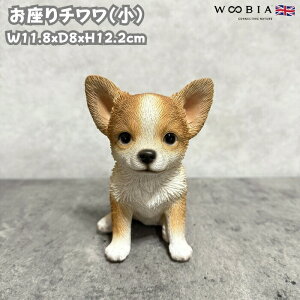  u  `  킢  IuWF CeA woobia E[rA Ck K[f gC  v[g k  G _ ʔ  Mtg O  A
