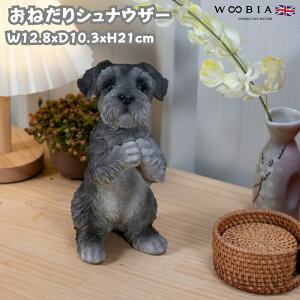  u  ˂ViEU[ 킢  IuWF CeA woobia E[rA Ck K[f gC  v[g k  G _ ʔ  Mtg O  