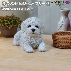  u  ԂrWEt[[ 킢  IuWF CeA woobia E[rA Ck K[f gC  v[g k  G _ ʔ  Mtg 