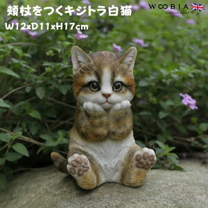 u  jLWgL lR 17cm woobia E[rA 傫 킢  K[f CeA IuWF  v[g k  G _ ʔ  Mtg O  