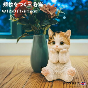 u jOєL lR 17cm woobia E[rA 傫 킢  K[f CeA IuWF  v[g k  G  _ ʔ  Mtg O  A