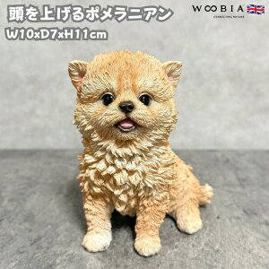  u  グ|jA 킢  IuWF CeA woobia E[rA Ck K[f gC  v[g k  G _ ʔ  Mtg O 