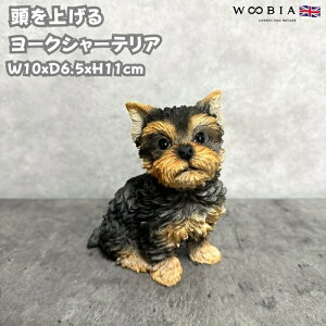  u  グ郈[NV[eA 킢  IuWF CeA woobia E[rA Ck K[f gC  v[g k  G _ ʔ  Mtg 