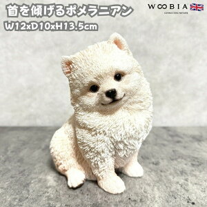  u  X|jA 킢  IuWF CeA woobia E[rA Ck K[f gC  v[g k  G _ ʔ  Mtg O 