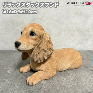  u  bNX_bNXthN[  킢  IuWF CeA woobia E[rA Ck K[f gC  v[g k  G _ ʔ  
