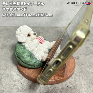 X}zX^h ergCv[h  woobia E[rA  Ck   Aj} X}zz_[  v[g Mtg 蕨 u  A Aj}IuWF Ce