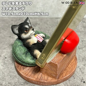 X}zX^h er` woobia E[rA  Ck   Aj} X}zz_[  v[g Mtg 蕨 u  A Aj}IuWF CeA 킢