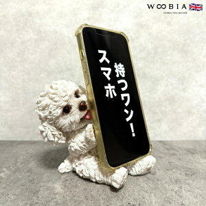 X}zX^h gCv[h  ObY woobia E[rA  Ck   Aj} X}zz_[  v[g Mtg 蕨 u  A Aj}IuWF Ce