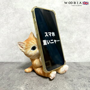 X}zX^h 蒃gL woobia E[rA ˂ lR  Aj} X}zz_[  v[g Mtg 蕨 u  A Aj}IuWF CeA 킢 